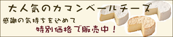 ��l�C�̂͂₫���J�}���x�[���`�[�Y�@���ʉ��i�Ŕ̔����ł��I