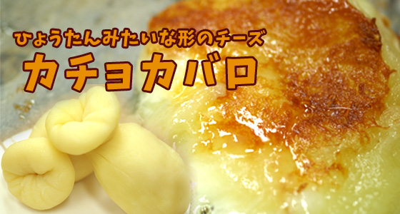 Ɂ@J`Jo@J`Jo